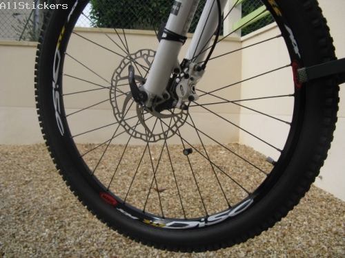 Mavic XM317 Disc