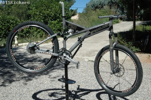 Specialized FSR