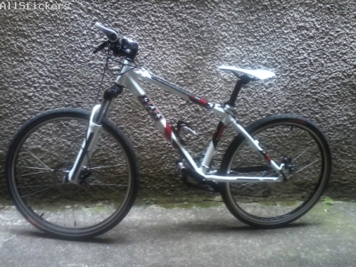Triathlon