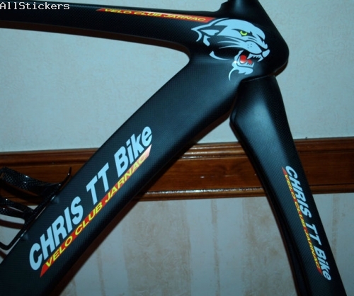 Chris TT Bike