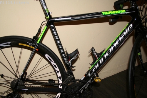 Cannondale Peter SAGAN Replica