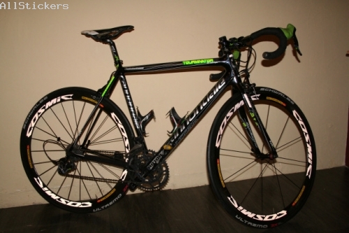 Cannondale Peter SAGAN Replica