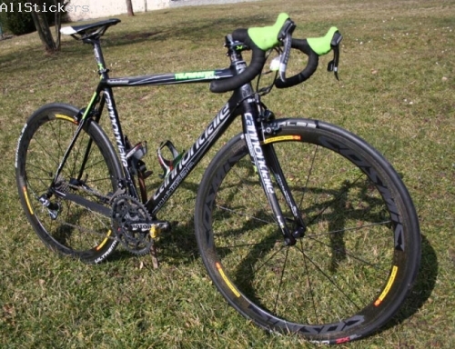 Cannondale Peter SAGAN Replica