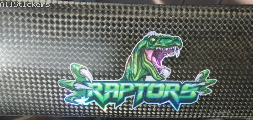 Raptor baton corima