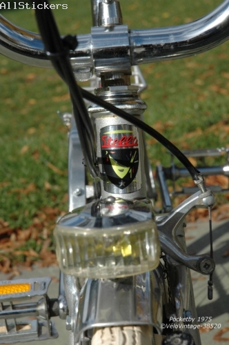 Stella 1975 HeadBadge