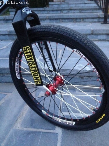 Sun ringlé stickers perso BMX