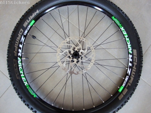 ZTR Arch EX 2013