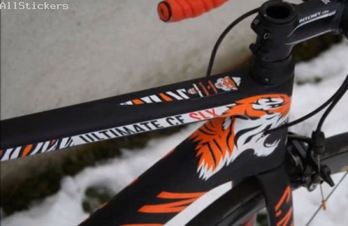 Canyon Tiger 2015