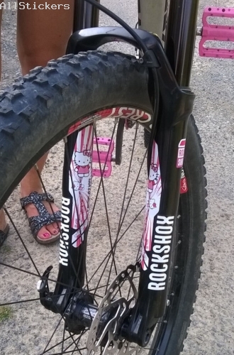 RockShox Pike Hello Kitty