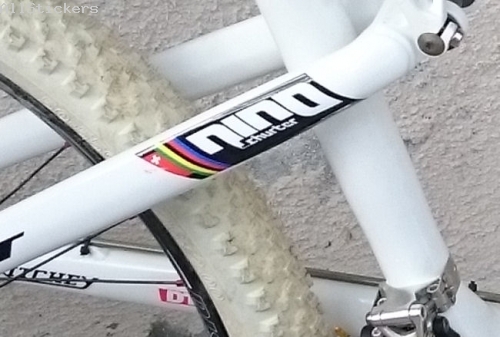 Scott Spark Nino Schurter Replica