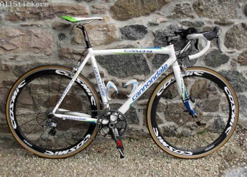 Mavic Cosmic SLR 2011
