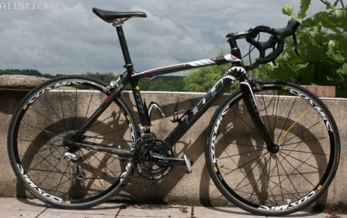 Requin de Messine Nibali Replica