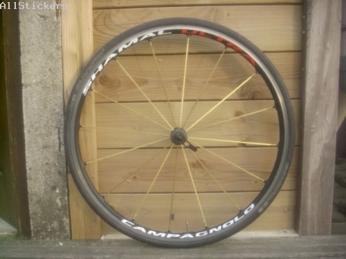 Campagnolo Shamal Ultra