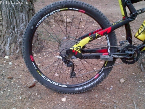 Mavic EN321 Disc