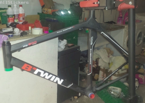 BTwin