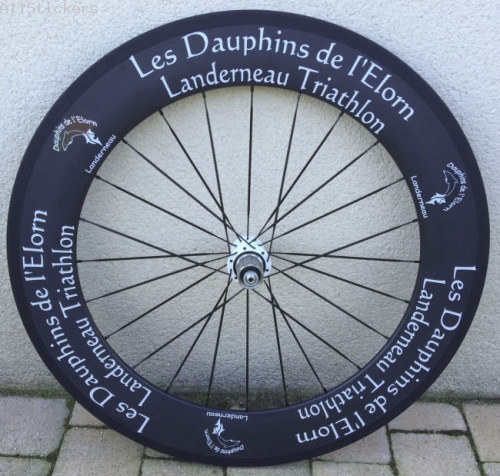 Dauphins Landerneau Triathlon