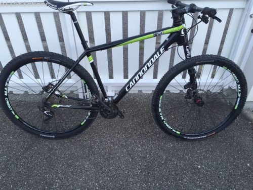 ZTR Crest 29er