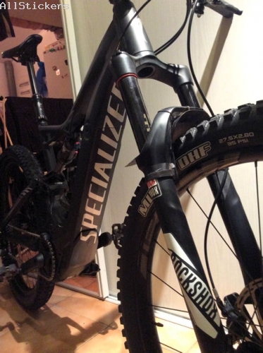 Specialized Levo SLR