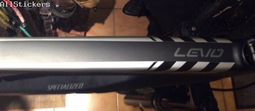 Specialized Levo SLR