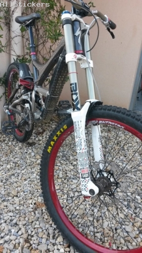 RockShox Boxxer Race