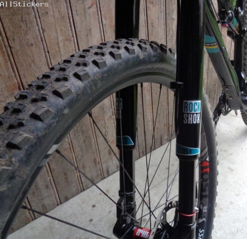 RockShox RS1