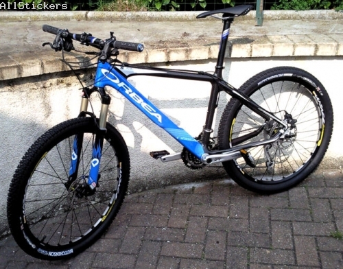 Rockshox SID