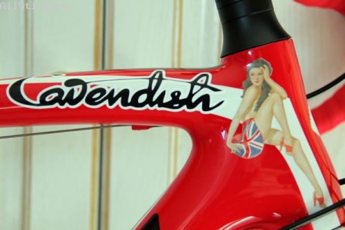 Signature Pin Up Cavendish