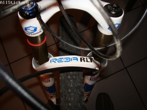 Rockshox Reba RLT